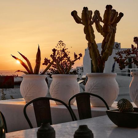 Elaia Luxury Suites Mykonos Mykonos Town Eksteriør bilde